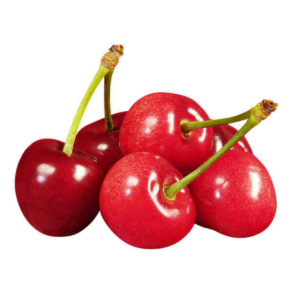 o8