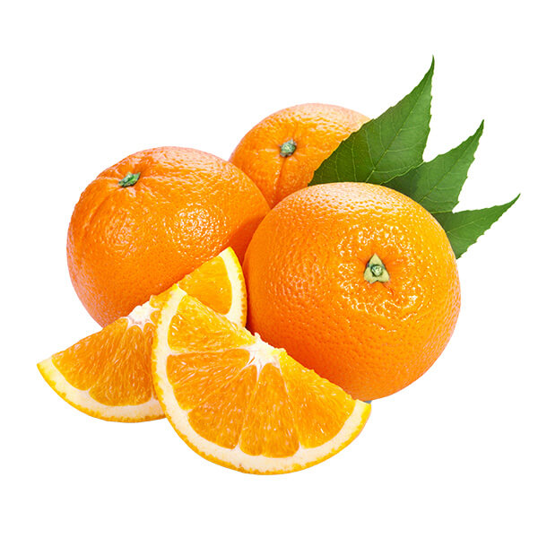 o8