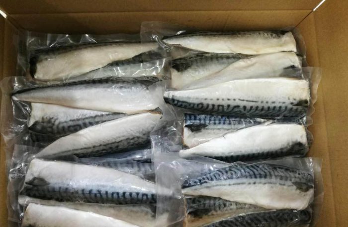 atlantic-mackerel.jpg